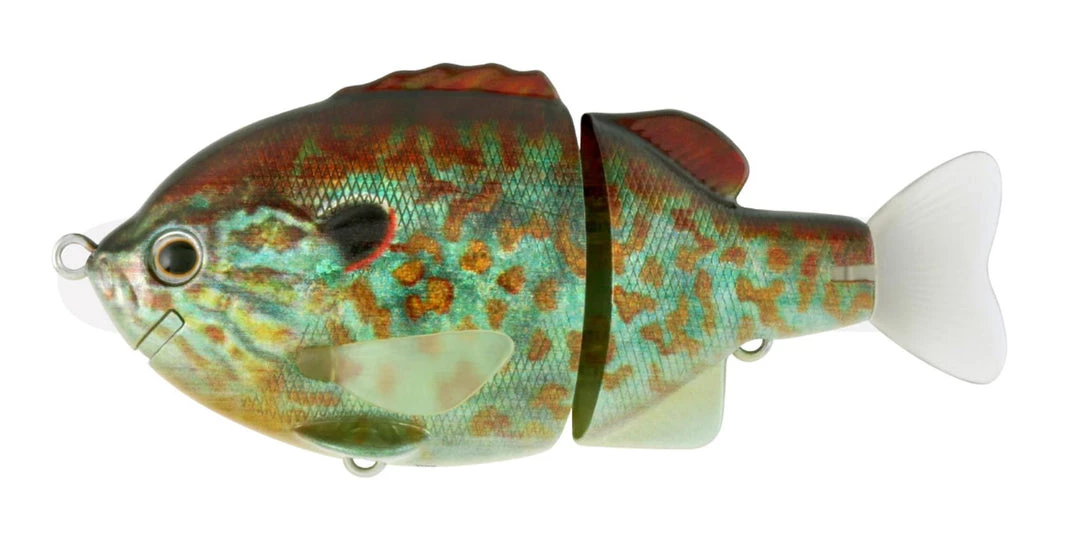 Deps Piccolo Bullshooter 100 Bleugill 4 Deps Piccolo Bullshooter 100 Bleugill - immagine 4