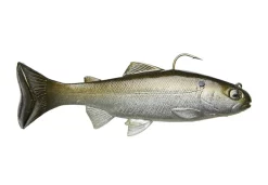 Acqua Dolce Huddleston Deluxe 68 Speciale -Negozio Strumenti Pesca Economico 04AM 1080x1080