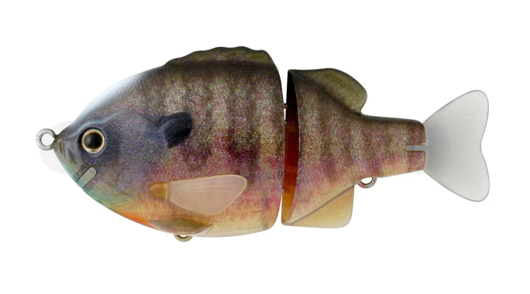 Deps Piccolo Bullshooter 100 Bleugill 5 Deps Piccolo Bullshooter 100 Bleugill - immagine 5