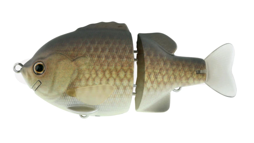 Deps Piccolo Bullshooter 100 Bleugill 6 Deps Piccolo Bullshooter 100 Bleugill - immagine 6