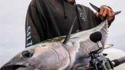 Daiwa Lexa TW Bait Bobina Di Colata -Negozio Strumenti Pesca Economico 14PM e2c6aa64 cdbf 46bf 9f14 08bcbb1ddaaf 1080x1080