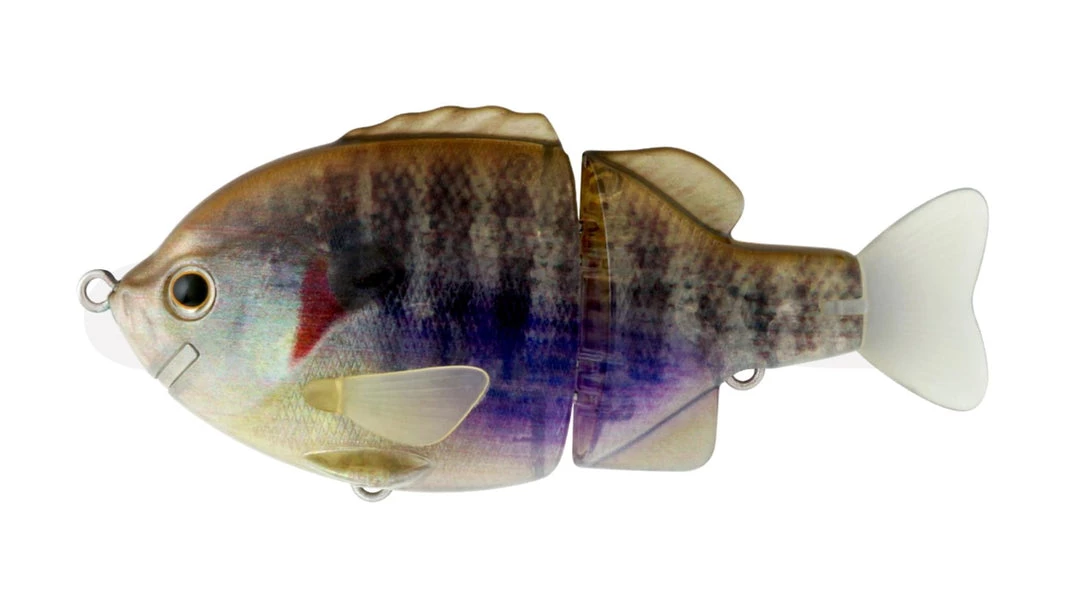 Deps Piccolo Bullshooter 100 Bleugill 8 Deps Piccolo Bullshooter 100 Bleugill - immagine 8