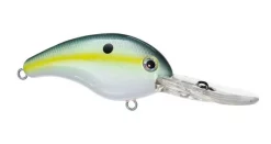 Acqua Dolce Strike King 10XD Crankbait -Negozio Strumenti Pesca Economico 16 PM 1080x1080