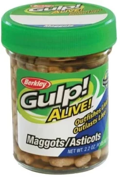 Acqua Dolce Berkley Gulp Vivo Maggots
