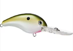 Acqua Dolce Strike King 10XD Crankbait