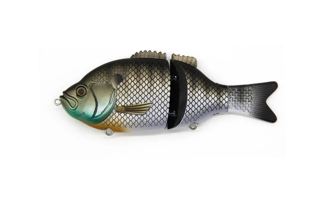 Baitsanity Esplora Gill Glide Bait 1 Baitsanity Esplora Gill Glide Bait