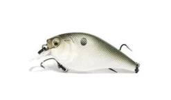 6 ° Sense Crush 100X Squarebill Crankbait 9 6 ° Sense Crush 100X Squarebill Crankbait -Negozio Strumenti Pesca Economico C100X Shad Greene 1080x1080