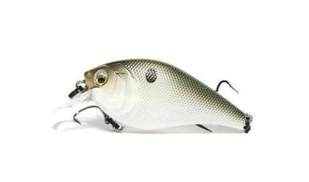 6 ° Sense Crush 100X Squarebill Crankbait 3 6 ° Sense Crush 100X Squarebill Crankbait - immagine 3
