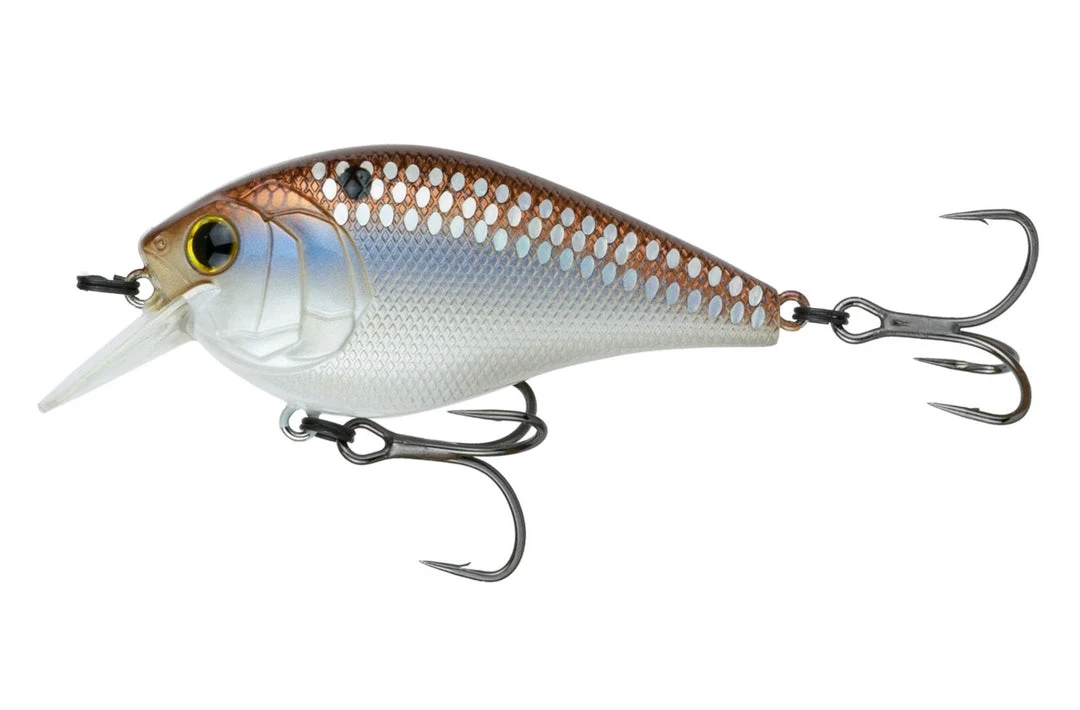6 ° Sense Crush 100X Squarebill Crankbait 4 6 ° Sense Crush 100X Squarebill Crankbait - immagine 4