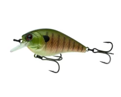 6th Sense Crush 50X Squarebill Crankbait Acqua Dolce 19 6th Sense Crush 50X Squarebill Crankbait Acqua Dolce -Negozio Strumenti Pesca Economico Crush 50X Baby Bluegill 1080x1080