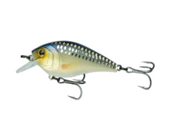 6th Sense Crush 50X Squarebill Crankbait Acqua Dolce 20 6th Sense Crush 50X Squarebill Crankbait Acqua Dolce -Negozio Strumenti Pesca Economico Crush 50X Live Shiner 1080x1080