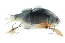 Giaccolo D'acqua Dolce Gantarel 13 Giaccolo D'acqua Dolce Gantarel -Negozio Strumenti Pesca Economico DSC 7694 1080x1080