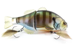 Giaccolo D'acqua Dolce Gantarel 14 Giaccolo D'acqua Dolce Gantarel -Negozio Strumenti Pesca Economico DSC 7695 1080x1080