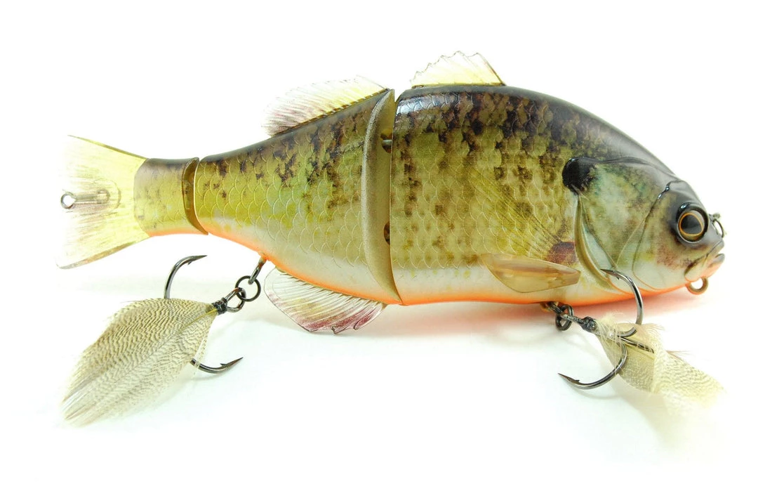 Giaccolo D'acqua Dolce Gantarel 5 Giaccolo D'acqua Dolce Gantarel - immagine 5