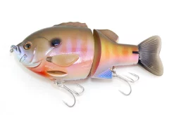 Deps BullShooter 160 Bluegill -Negozio Strumenti Pesca Economico DSC 7847 1080x1080