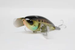 Acqua Dolce Jackall Pompadour JR. -Negozio Strumenti Pesca Economico DSC 7875 1080x1080