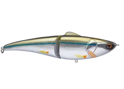 Ima Glide Fluke 125 Acqua Dolce Galleggiante 7 Ima Glide Fluke 125 Acqua Dolce Galleggiante -Negozio Strumenti Pesca Economico Electric Shad b701a5a5 7d77 4b42 b697 735a08aeb8f6 1080x1080