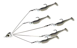 Picasso School-E-Rig Acqua Dolce