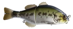 Giaccolo D'acqua Dolce Gantarel 17 Giaccolo D'acqua Dolce Gantarel -Negozio Strumenti Pesca Economico FishJackall GANTAREL BABY BASS primary 1080x1080