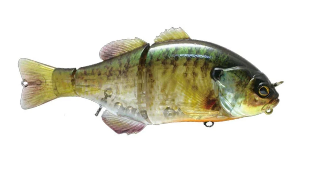 Jackall Gantarel Jr Bluegill Swimbait Acqua Dolce 8 Jackall Gantarel Jr Bluegill Swimbait Acqua Dolce - immagine 8