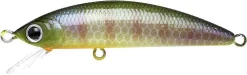 Lucky Craft Humpback Minnow 50 SP -Negozio Strumenti Pesca Economico HumpbackBEgill 1024x1024 2x e7e78807 555c 4c24 b94f aa24366933b8 1080x1080
