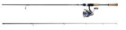 Daiwa Legalis LT Spinning Combo