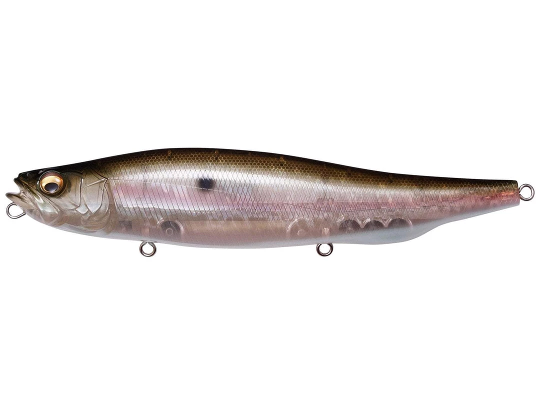 Megabass Megadog 220 Matita 7 Megabass Megadog 220 Matita - immagine 7