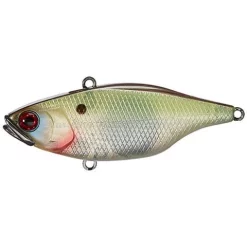 Jackall TN 60 Disk Knocker Lipless Crankbait Acqua Dolce -Negozio Strumenti Pesca Economico Muddy Shad 1080x1080