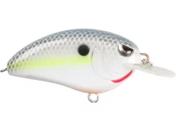 Spro John Crews Little John 50 Crankbait -Negozio Strumenti Pesca Economico Nasty Shad 6dc71ba9 6c5d 42f5 bf88 a297b108692c 1080x1080
