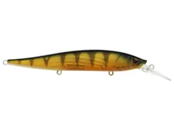 Berkley Stunna 112+1 Jerkbait 17 Berkley Stunna 112+1 Jerkbait -Negozio Strumenti Pesca Economico Perch f069a585 b92a 4c48 b3b0 beb6cdacb5cf 1080x1080