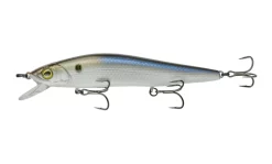 6 ° Sense Provoke 106X Jerkabit D'acqua Dolce -Negozio Strumenti Pesca Economico Provoke 106X 4K Shad 1080x1080