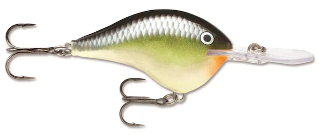 Rapala DT (Dives-To) Crankbait Acqua Dolce 13 Rapala DT (Dives-To) Crankbait Acqua Dolce - immagine 13