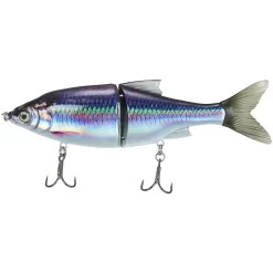 Selvaggio Gear 3D Roach Shine Glide 185 Millimetri D'acqua Dolce -Negozio Strumenti Pesca Economico Savage Gear 3d Shine Glide Sexy Baitfish 1080x1080