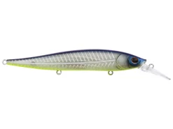 Berkley Stunna 112+1 Jerkbait 15 Berkley Stunna 112+1 Jerkbait -Negozio Strumenti Pesca Economico Shad Fillet 1080x1080