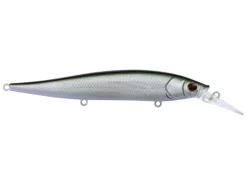 Berkley Stunna 112 Jerkbait 23 Berkley Stunna 112 Jerkbait -Negozio Strumenti Pesca Economico Silva Dolla 5f2f5fc5 8734 4293 90c7 3866abf42970 1080x1080