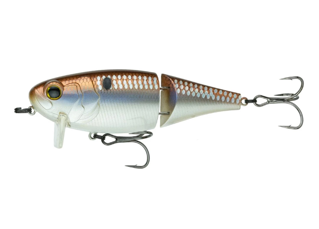 6 ° Sense Speed Sveglia Acqua Dolce 2 6 ° Sense Speed Sveglia Acqua Dolce - immagine 2