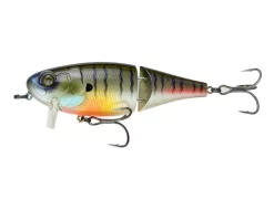 6 ° Sense Speed Sveglia Acqua Dolce