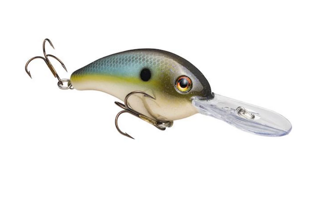 Strike King Pro-Modello Crankbait Serie 5 7 Strike King Pro-Modello Crankbait Serie 5 - immagine 7