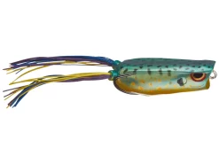 Acqua Dolce SPRO Bronzeye Popper Frog 60 -Negozio Strumenti Pesca Economico Sunfish 54f108a7 7ffe 4288 8c64 8f77ef968535 1080x1080