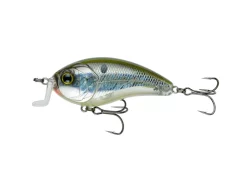 Acqua Dolce 6 Sense Swank 77X Crankbait