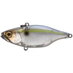 Jackall TN 70 Disk Knocker Lipless Crankbait Acqua Dolce 7 Jackall TN 70 Disk Knocker Lipless Crankbait Acqua Dolce -Negozio Strumenti Pesca Economico Threadfin Shad 1080x1080