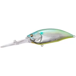 Megabass Big-M 7,5 Crankbait Acqua Dolce 14 Megabass Big-M 7,5 Crankbait Acqua Dolce -Negozio Strumenti Pesca Economico YUZU Shad 1080x1080