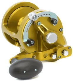 Avet LX Raptor Serie A 2 Velocità Trascinare Bobine 9 Avet LX Raptor Serie A 2 Velocità Trascinare Bobine -Negozio Strumenti Pesca Economico avet lx 63 mc raptor 2 speed lever drag casting reel gold lh 1080x1080