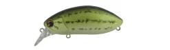Roboworm 4 1/2" Ricci Worms Coda D'acqua Dolce 35 Roboworm 4 1/2" Ricci Worms Coda D'acqua Dolce -Negozio Strumenti Pesca Economico babybass 1080x1080
