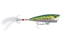 Don Iovino Splash-It Topwater Poppers Acqua Dolce -Negozio Strumenti Pesca Economico babybass c195d508 004a 4798 939f 8892d2e518a0 1080x1080