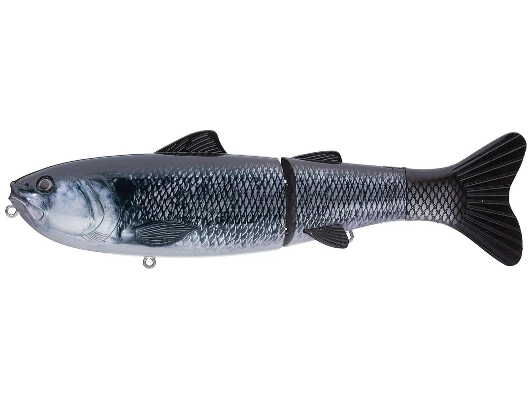 Baitsanity Explorer Glide Gen 2 3 Baitsanity Explorer Glide Gen 2 - immagine 3