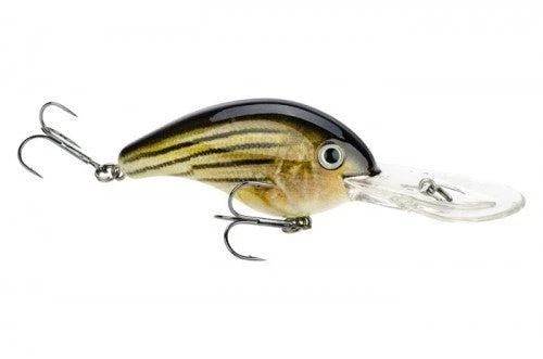 Acqua Dolce Lago Forchetta Dal Vivo Magic Shad 1 Acqua Dolce Lago Forchetta Dal Vivo Magic Shad
