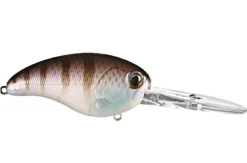 Ima Beast Hunter Crankbaits