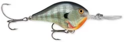 Rapala DT (Dives-To) Crankbait Acqua Dolce 16 Rapala DT (Dives-To) Crankbait Acqua Dolce -Negozio Strumenti Pesca Economico bluegill 9969c953 0a32 45ae 95a6 980c0d55fa0a 1080x1080