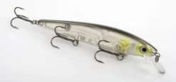 Acqua Dolce Strike King KVD Jerkbaits 11 Acqua Dolce Strike King KVD Jerkbaits -Negozio Strumenti Pesca Economico clearwaterminnow fccd42b3 8e7f 4d7d 8ae0 52a46ae132f9 1080x1080